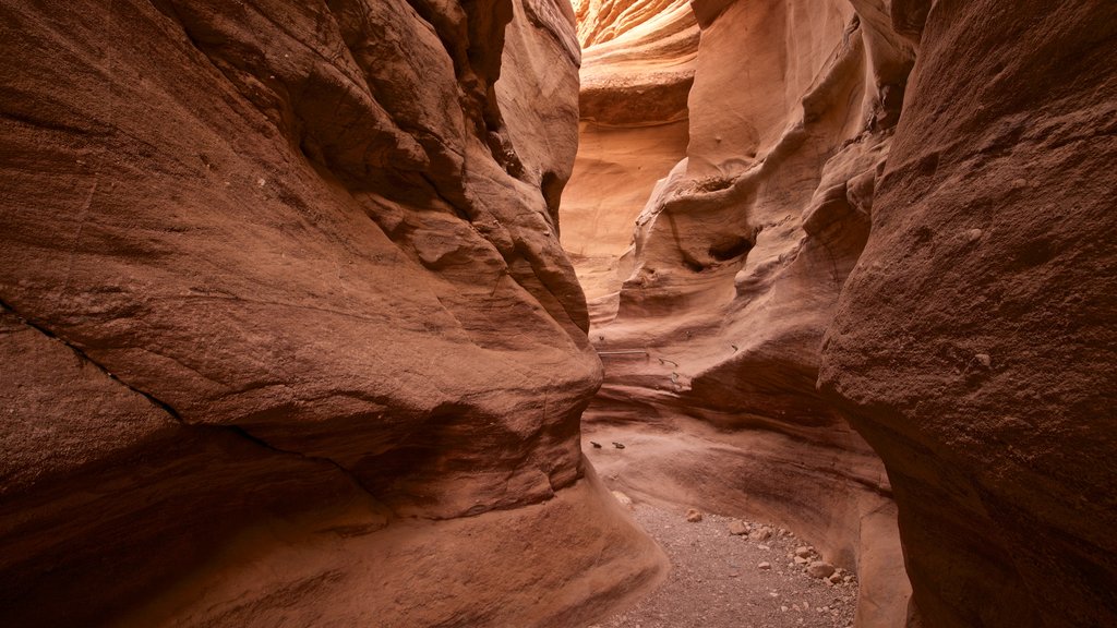 Cânion Vermelho que inclui um desfiladeiro ou canyon