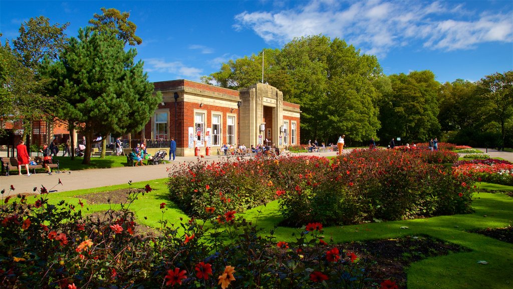 Stanley Park showing a garden and wild flowers