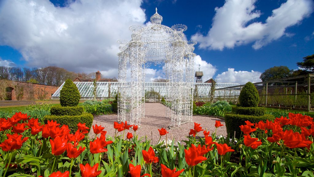 Arley Hall showing wildflowers, flowers and a garden