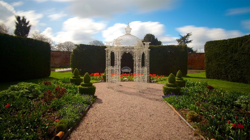 Arley Hall que incluye flores silvestres, un parque y flores