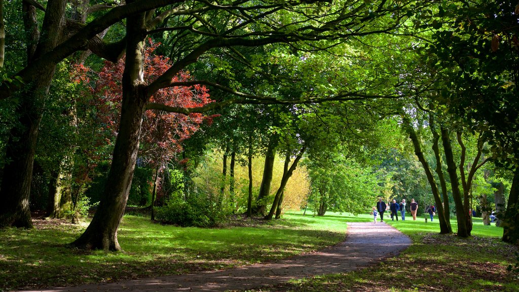 Stanley Park which includes a park as well as a small group of people