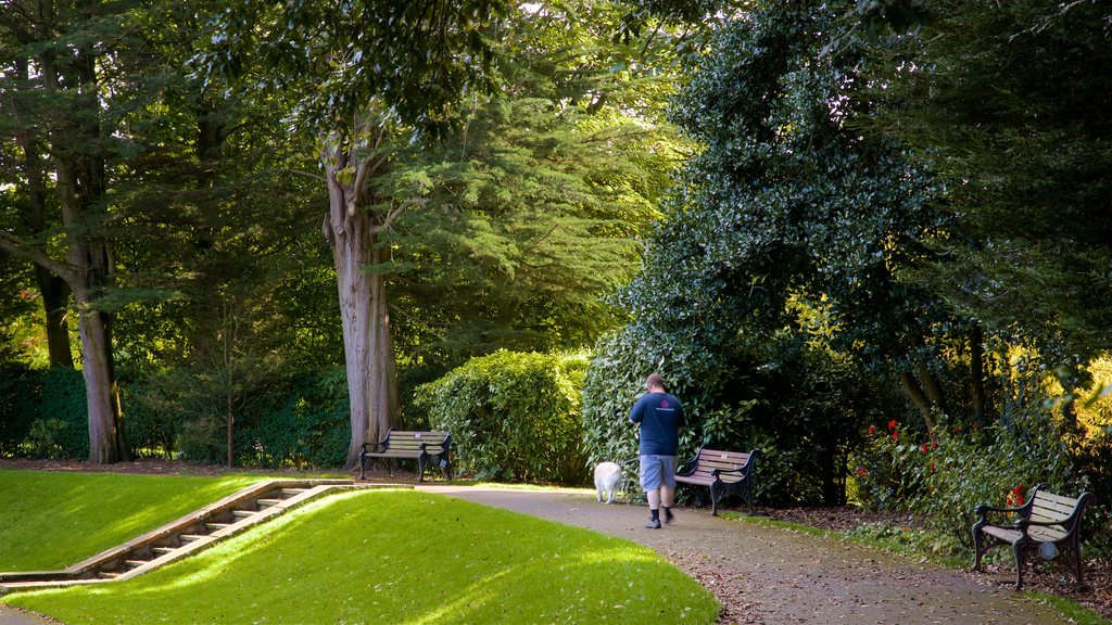 Stanley Park featuring a park, hiking or walking and cuddly or friendly animals