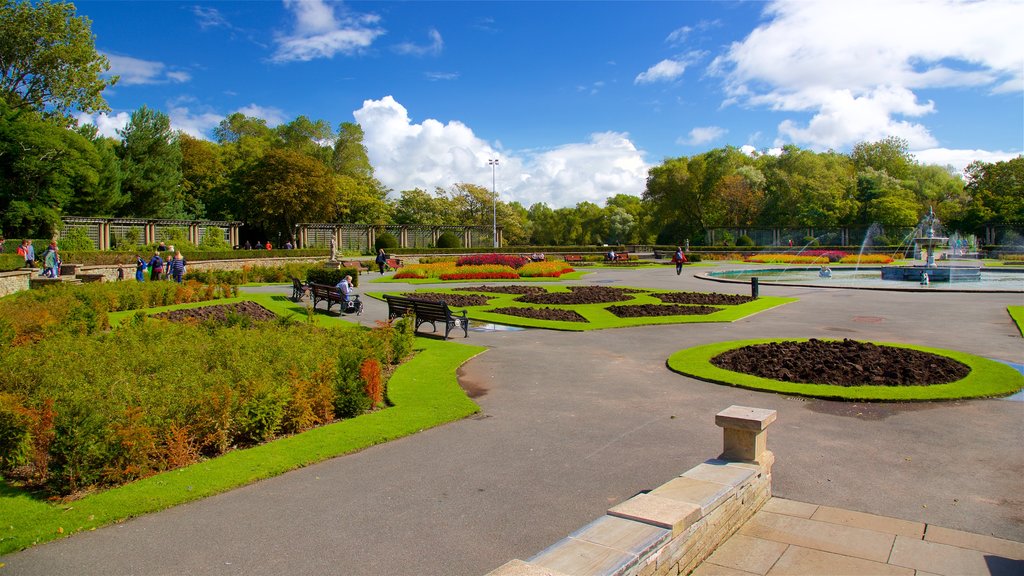 Stanley Park showing wild flowers, a fountain and a park