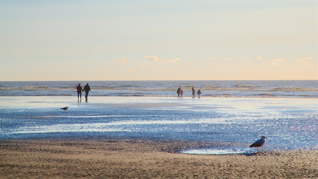 Playa de Blackpool mostrando una puesta de sol, una playa de arena y vistas de paisajes