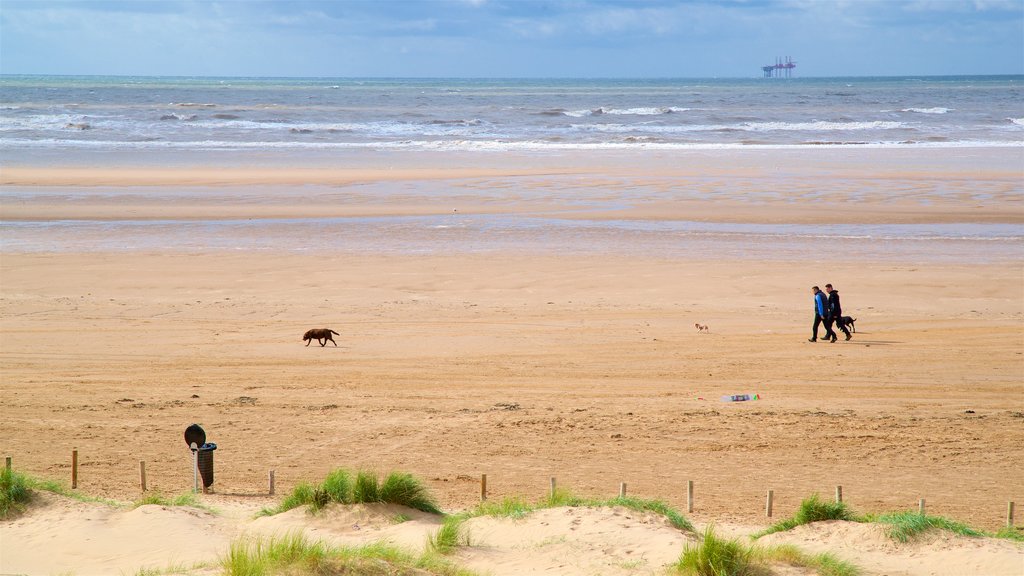 Playa de Ainsdale que incluye animales domésticos, una playa y vista general a la costa