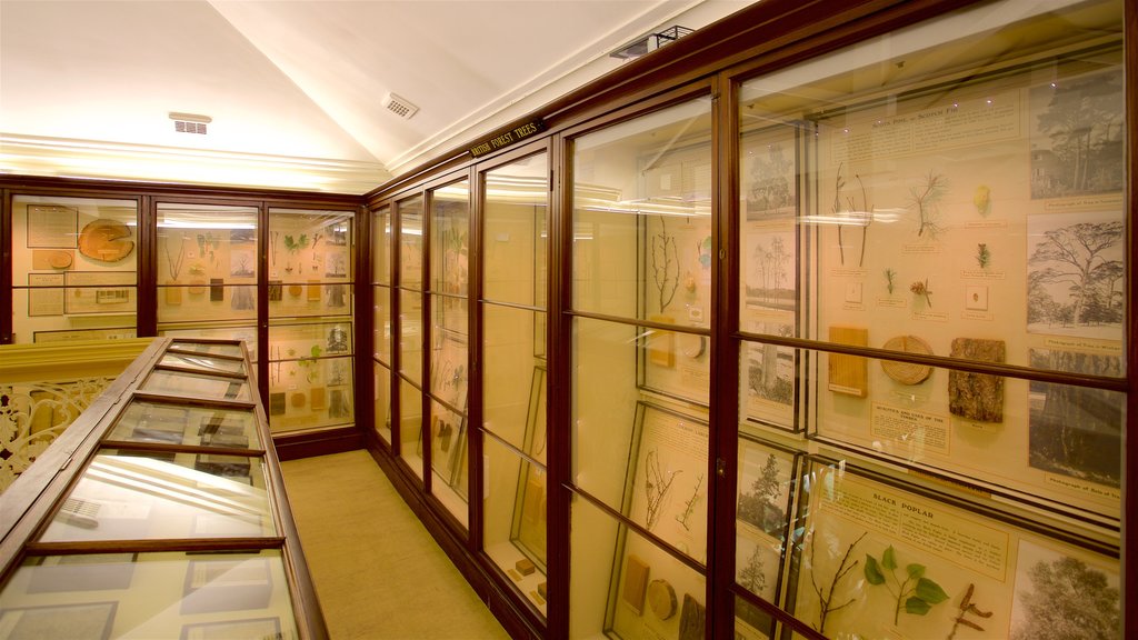 Warrington Museum & Art Gallery showing interior views