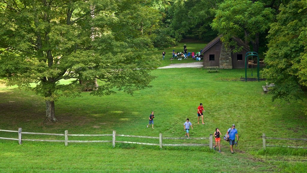 Brown County State Park ofreciendo un parque y también una familia