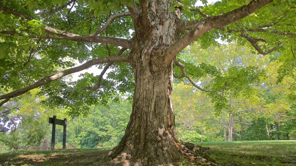 Brown County State Park bevat een tuin