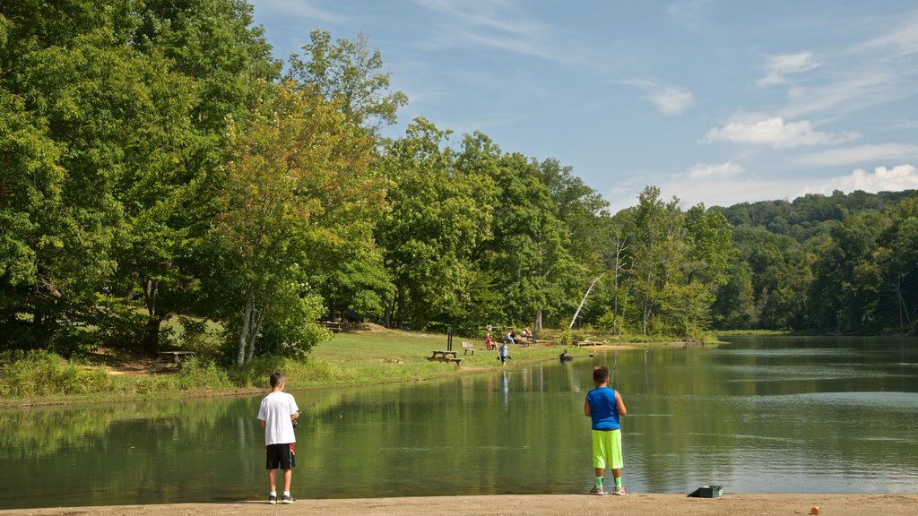 Brown County State Park caracterizando um lago ou charco assim como crianças