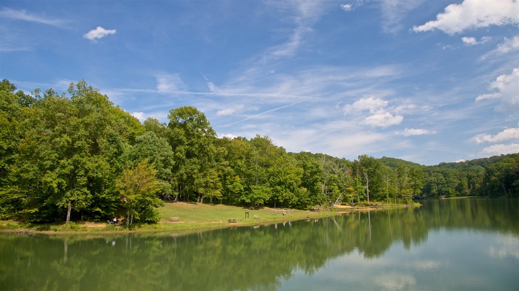 Brown County State Park inclusief een meer of poel