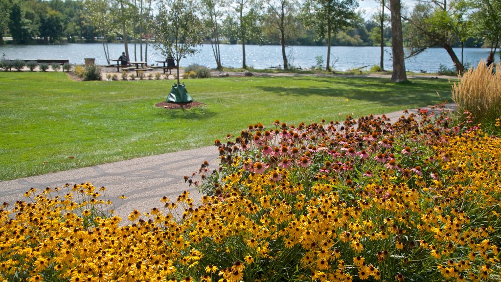 Basilica of the Sacred Heart toont een park en wilde bloemen