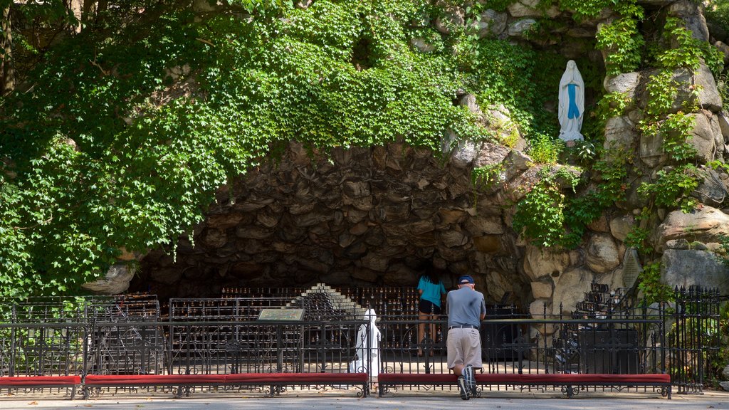 Grotto of Our Lady of Lourdes showing a park as well as an individual male