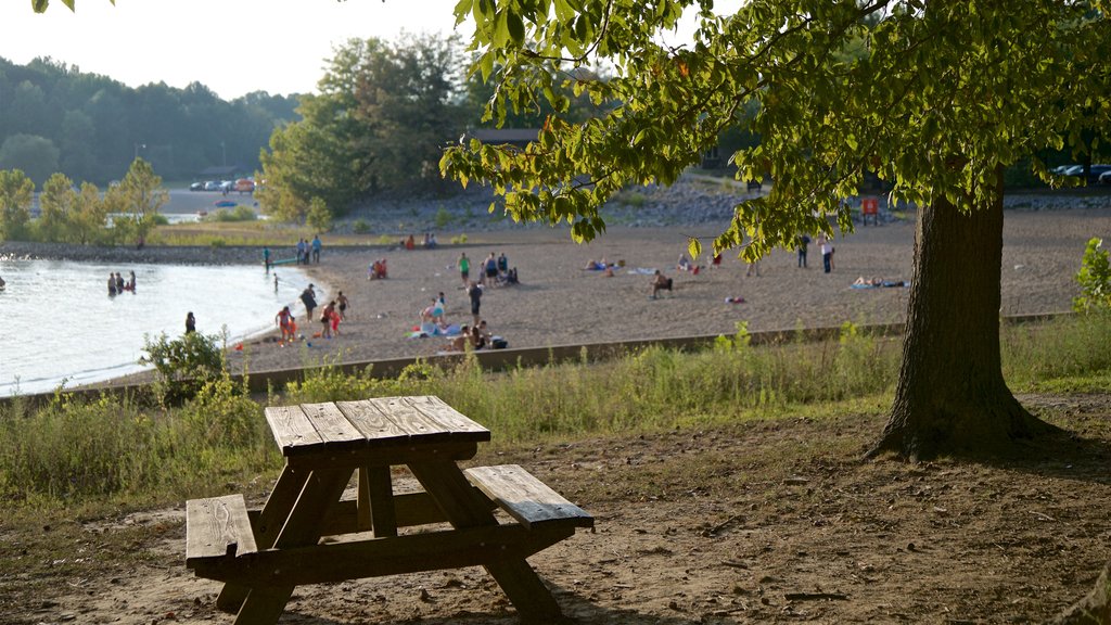 Monroe Lake showing a beach and swimming as well as a small group of people