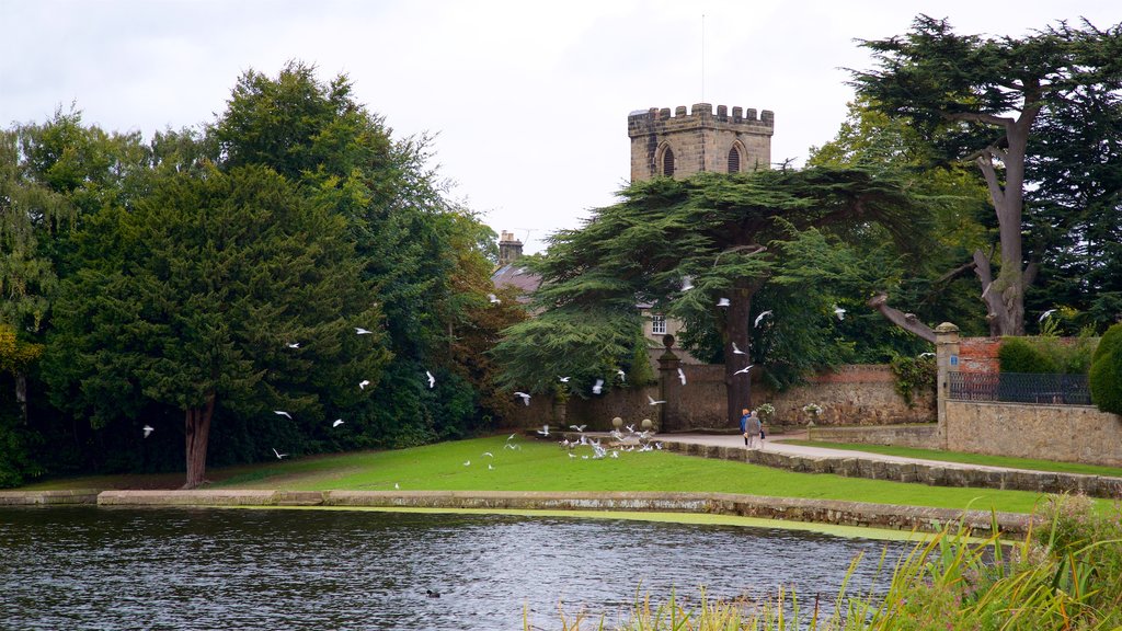 Melbourne ofreciendo un estanque, elementos patrimoniales y jardín