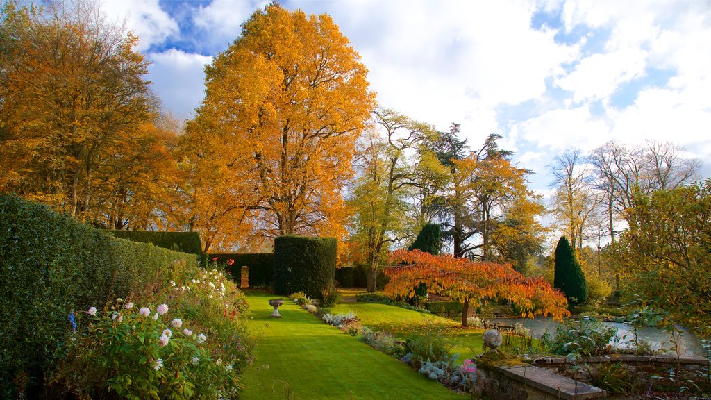 Coton Manor Gardens ofreciendo flores silvestres, hojas de otoño y un parque