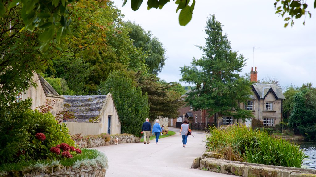 Melbourne showing a small town or village, hiking or walking and a park