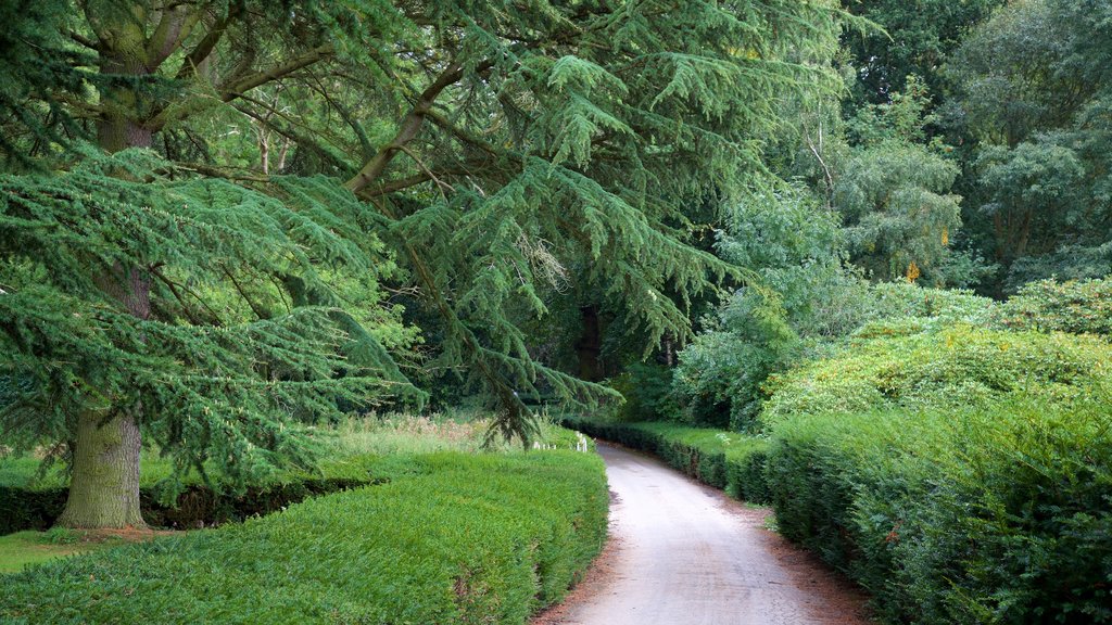 Elvaston Castle featuring a garden