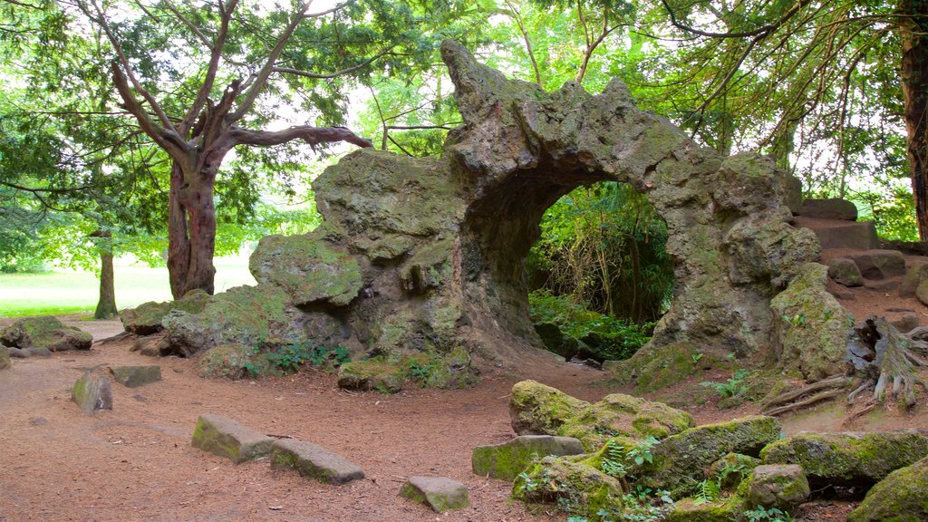 Elvaston Castle featuring a park