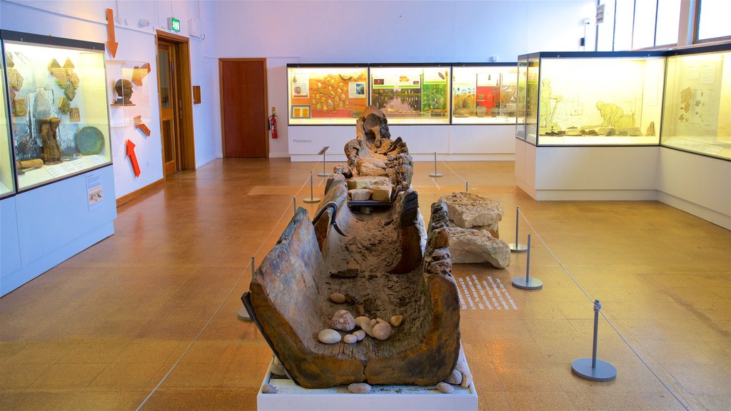 Derby Museum and Art Gallery showing interior views