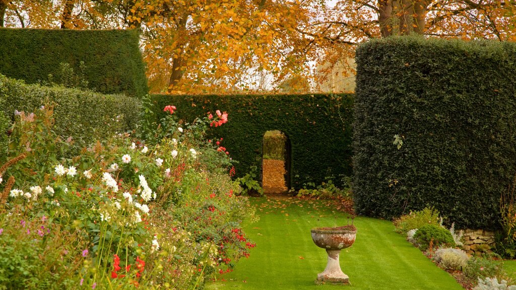 Coton Manor Gardens caracterizando um parque e flores silvestres