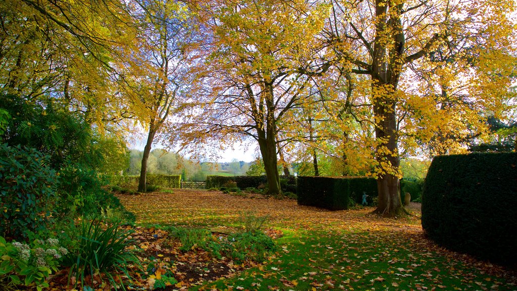 Coton Manor Gardens que inclui folhas de outono e um jardim