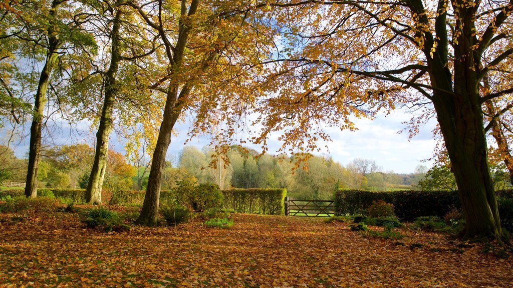 Coton Manor Gardens mostrando jardín y hojas de otoño