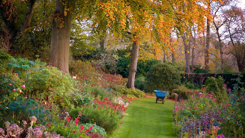 Coton Manor Gardens que incluye flores silvestres, un jardín y hojas de otoño