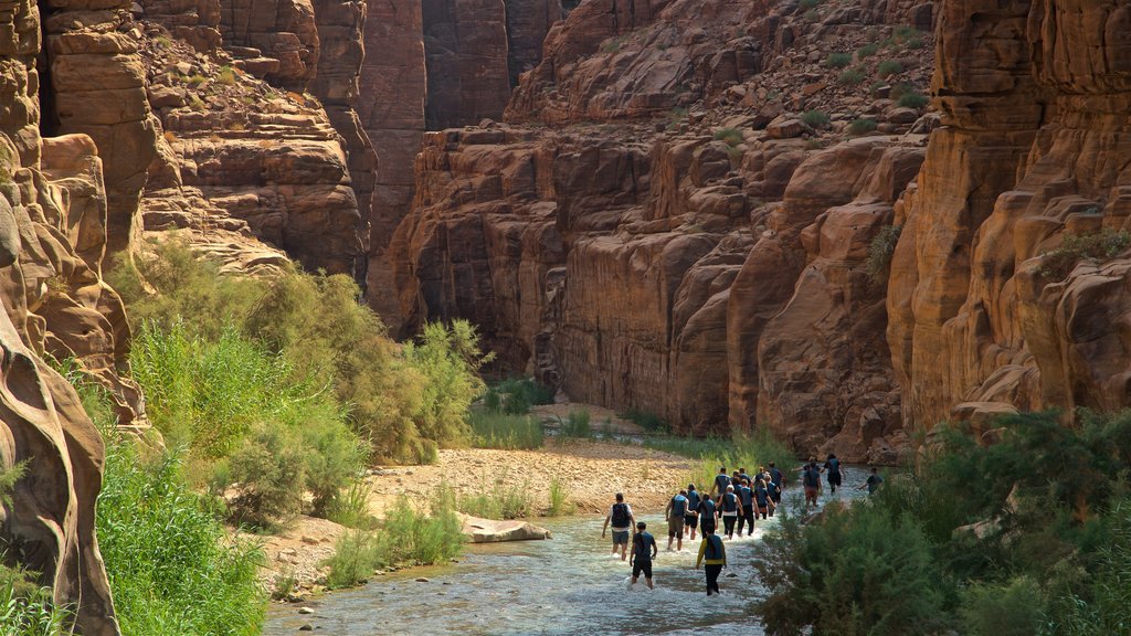 Reserva natural Mujib que incluye un barranco o cañón y un río o arroyo y también un pequeño grupo de personas