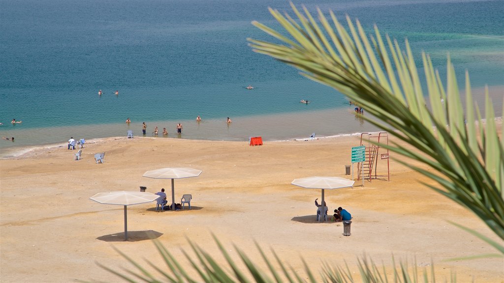 Sweimeh showing a sandy beach, swimming and general coastal views