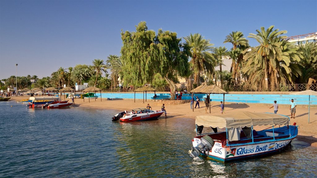 Aqaba mostrando paisagens litorâneas e uma praia de areia assim como um pequeno grupo de pessoas