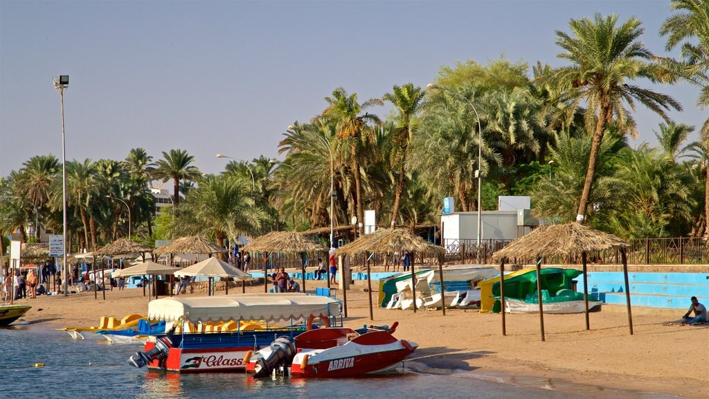 Aqaba showing general coastal views, tropical scenes and a beach