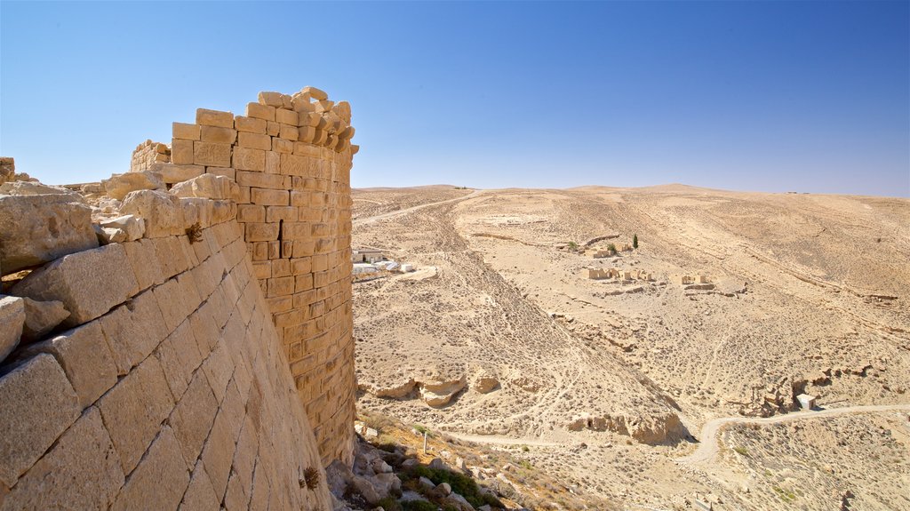 Shobak Castle featuring landscape views, desert views and building ruins