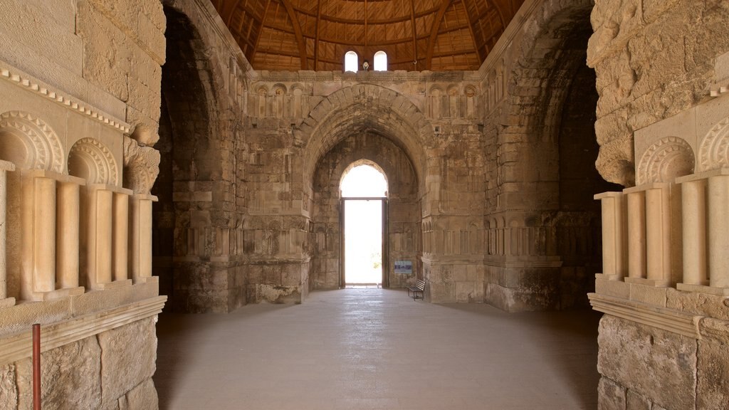 Palacio Ummayed que incluye elementos del patrimonio y vistas interiores