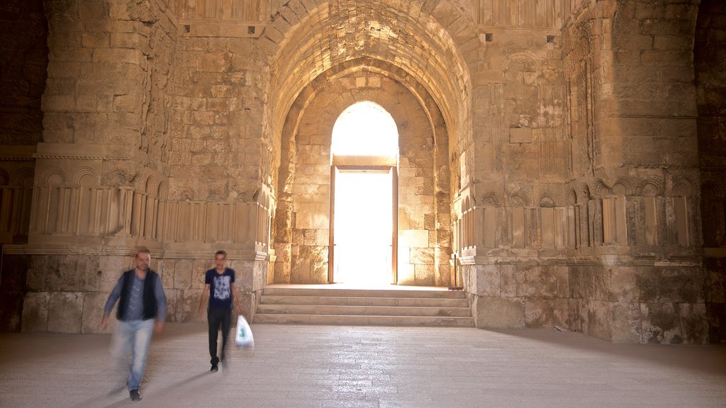 Palacio Ummayed mostrando elementos del patrimonio y vistas interiores y también una pareja