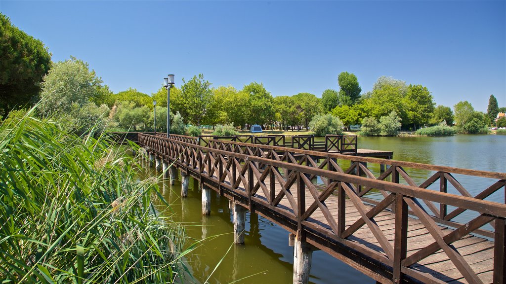 Parco del Gelso menunjukkan sungai dan jembatan