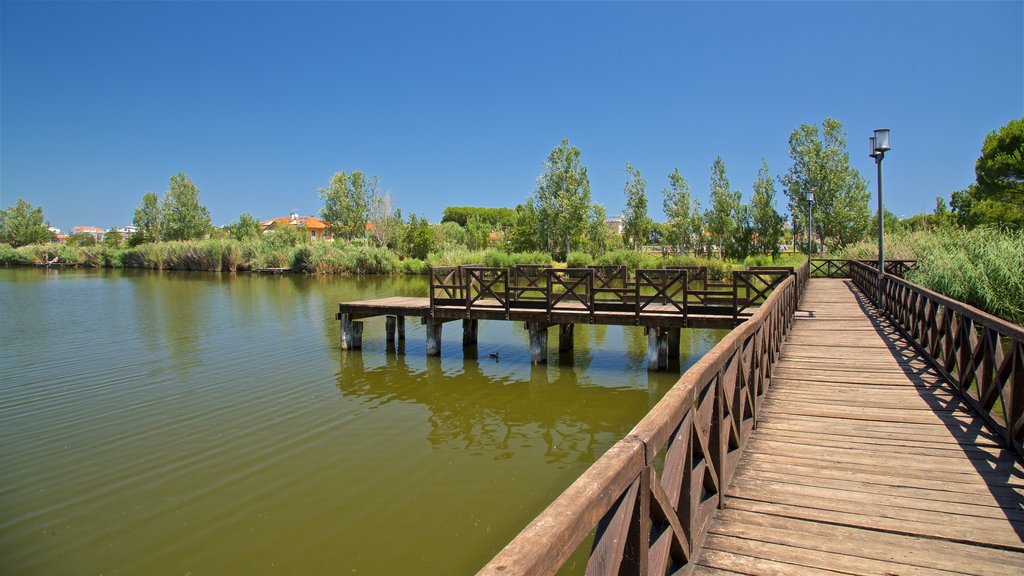 Parco del Gelso mostrando um rio ou córrego e uma ponte