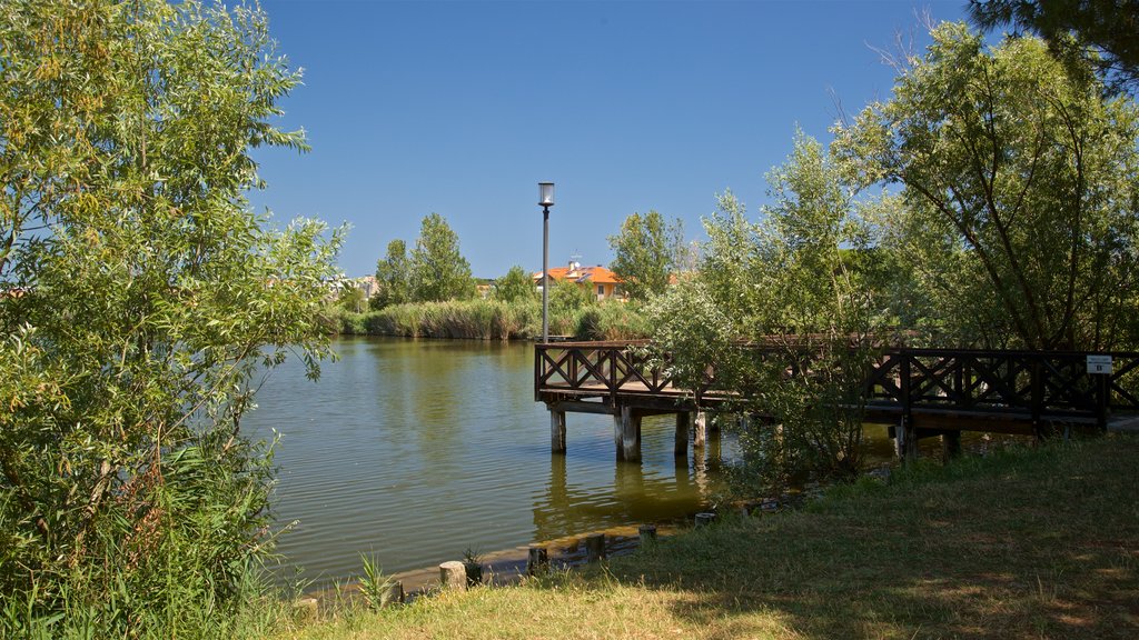 Parco del Gelso ofreciendo un lago o espejo de agua