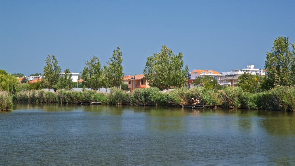 Parco del Gelso que inclui um lago ou charco