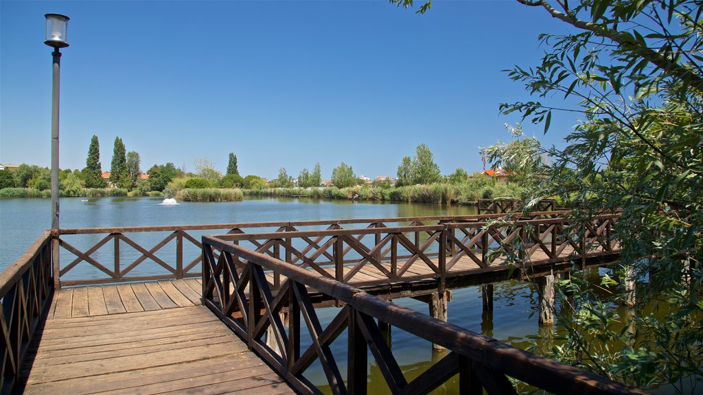 Parco del Gelso mostrando un lago o abrevadero y un puente