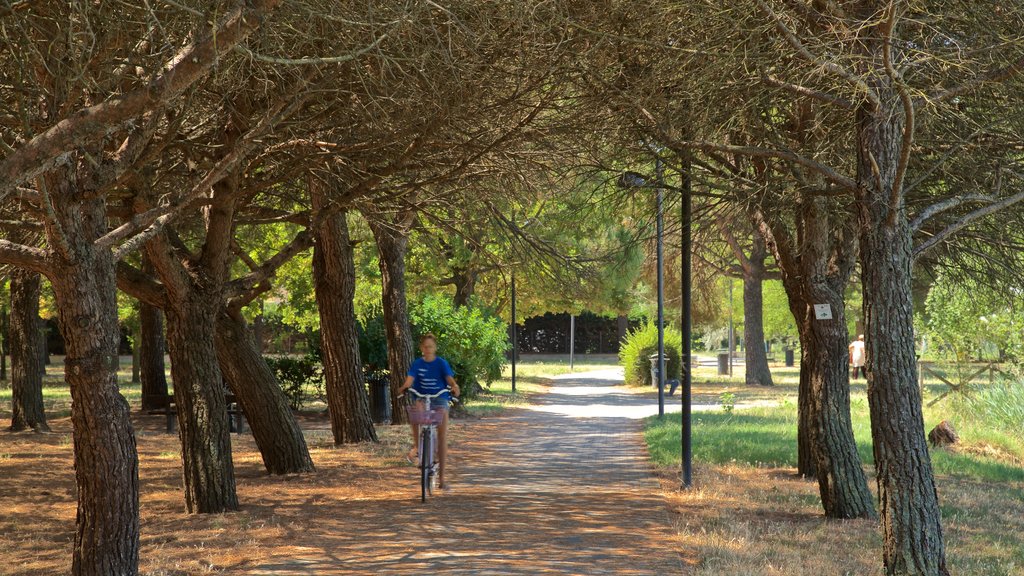 Parco del Gelso showing cycling and a garden