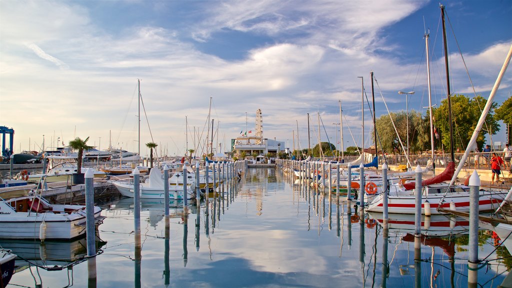 Noria Ferris de Rímini que incluye una bahía o un puerto