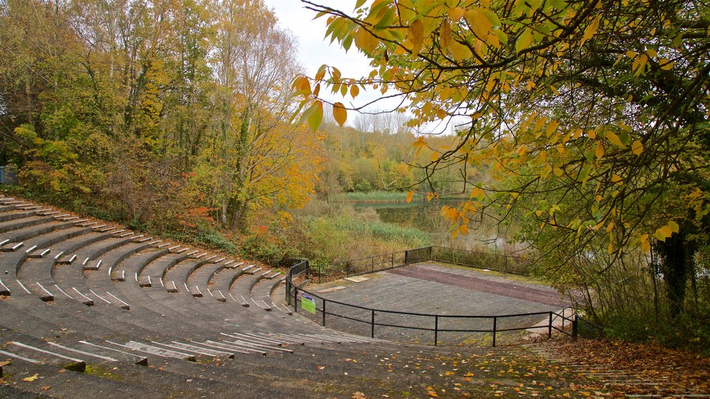 Telford Town Park showing a garden and autumn leaves