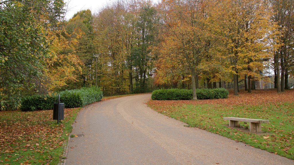 Telford Town Park caracterizando folhas de outono e um parque