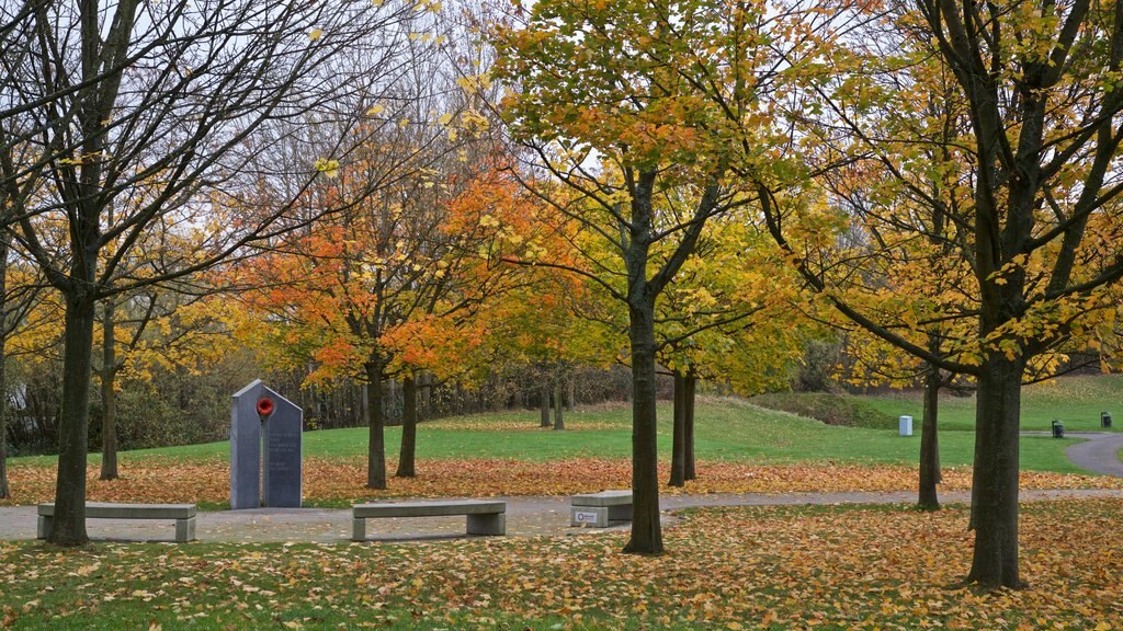 Telford Town Park caracterizando folhas de outono e um jardim