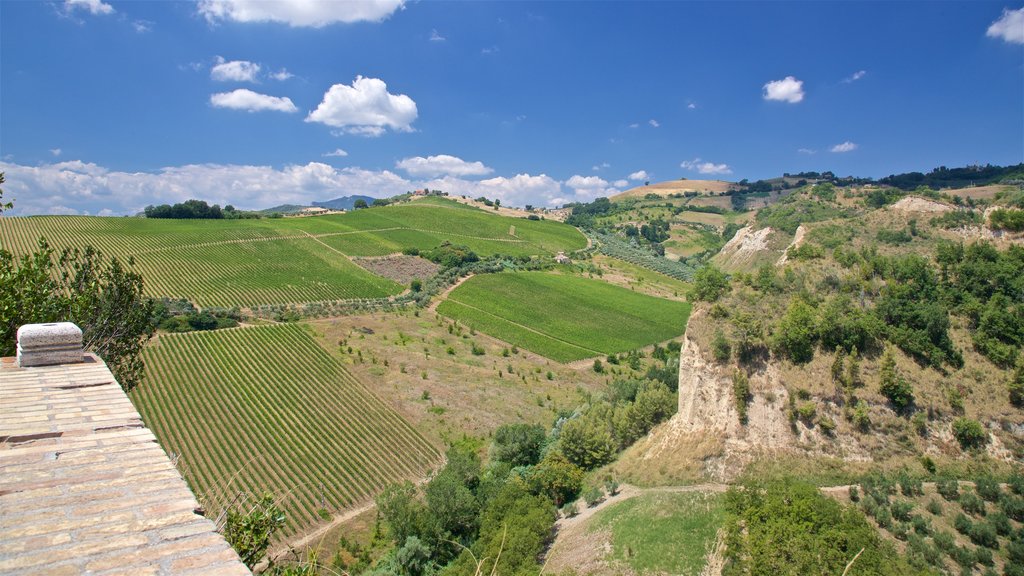 Church of Santa Maria della Rocca showing farmland and landscape views