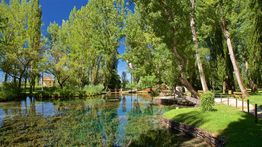 Fontes de Clitunno que inclui um jardim e um rio ou córrego