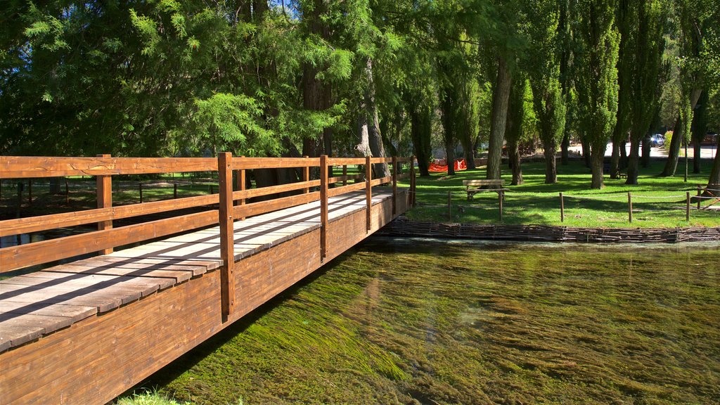 Springs of Clitunno featuring a bridge, a river or creek and a park