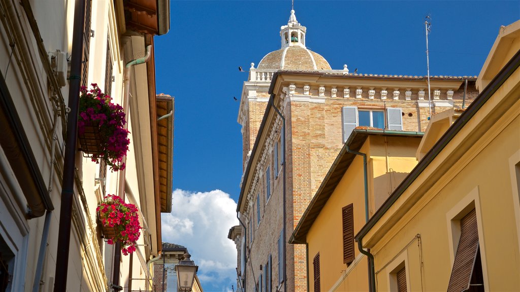 Senigallia which includes flowers and heritage elements