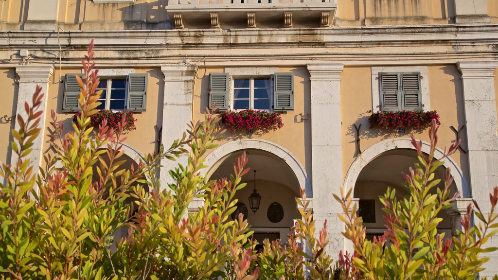 Senigallia mostrando flores