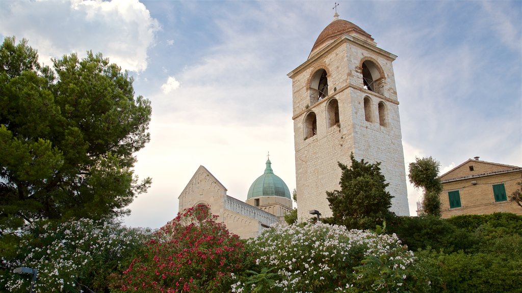 Cathedral of San Ciriaco which includes heritage elements and wild flowers